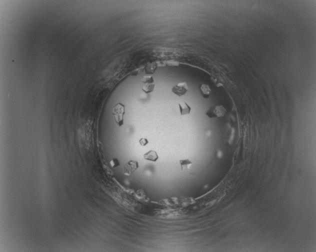 X0000056360511200509021751