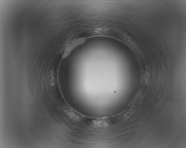 X0000056360520200509021751