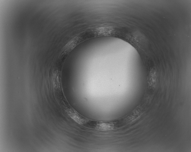 X0000056360522200509021751