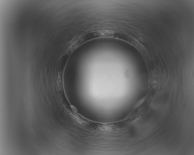 X0000056360523200509021751