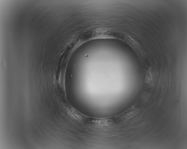 X0000056360524200509021751