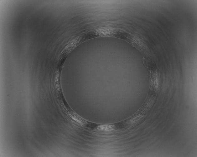 X0000056360526200509021751