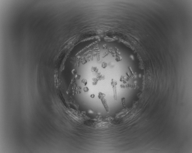 X0000056360527200509021751