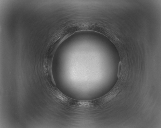 X0000056360528200509021751