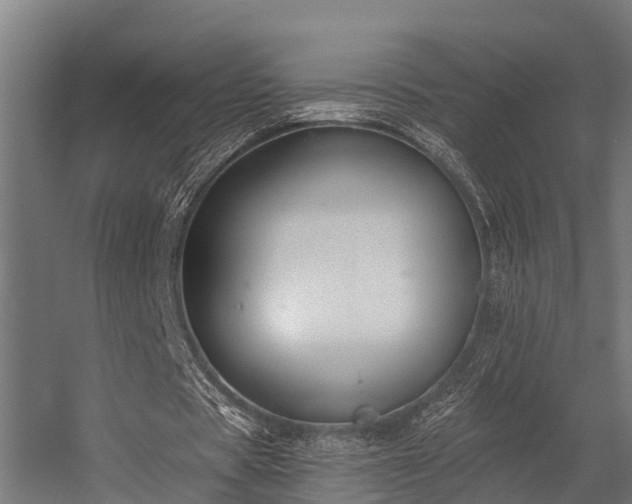 X0000056360529200509021750