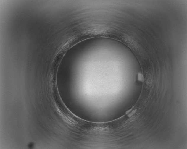 X0000056360542200509021750