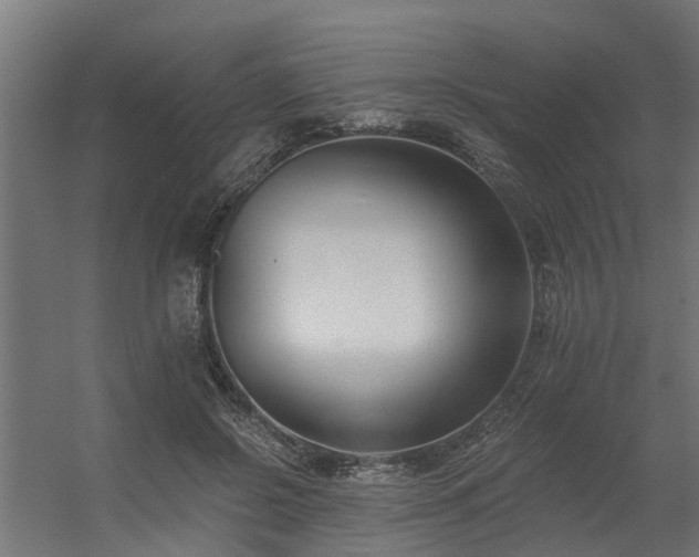 X0000056360550200509021751