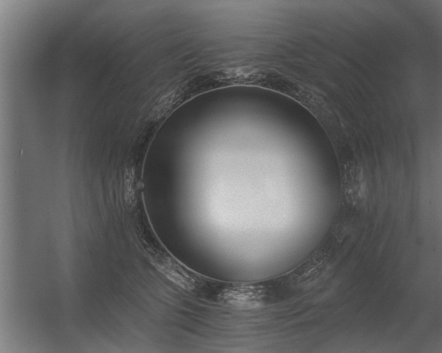 X0000056360563200509021751