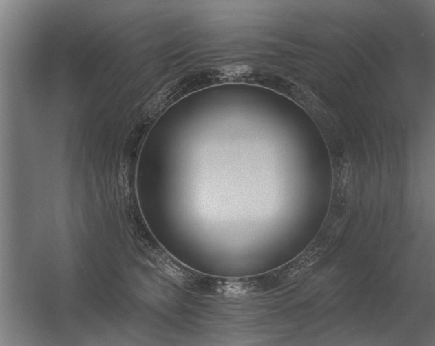 X0000056360565200509021751