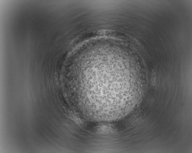 X0000056360569200509021751