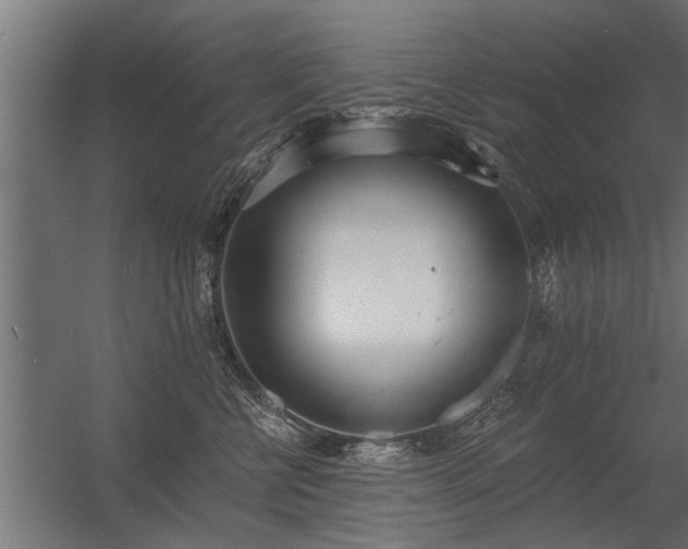 X0000056360570200509021751