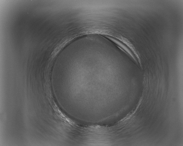 X0000056360577200509021750