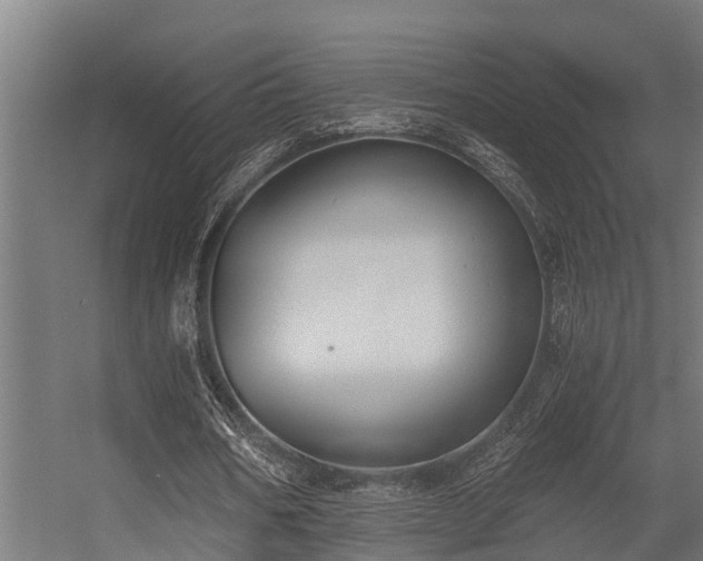 X0000056360578200509021750