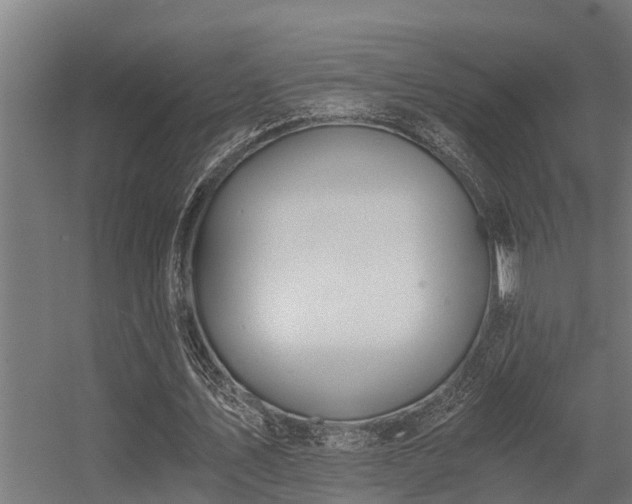 X0000056360579200509021750