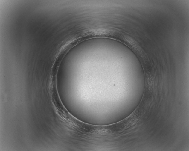 X0000056360583200509021750