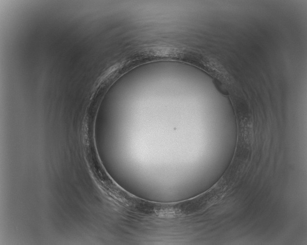 X0000056360587200509021750