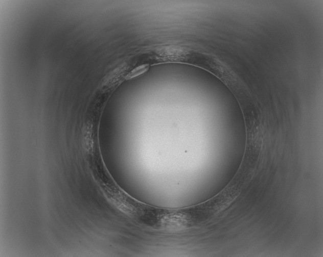 X0000056360599200509021750