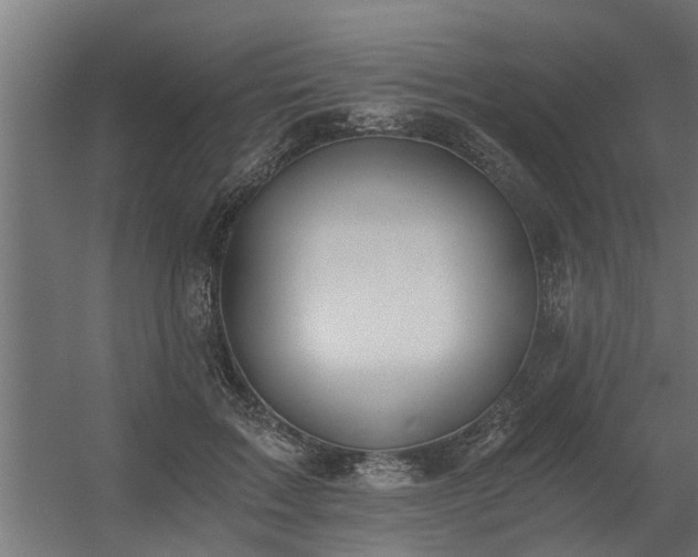 X0000056360603200509021750