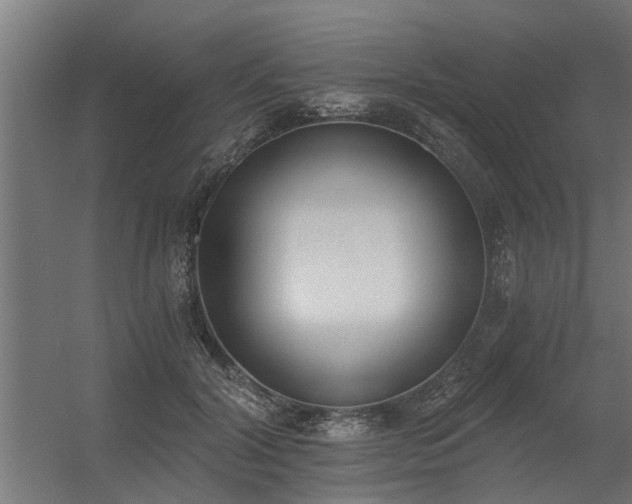 X0000056360604200509021750