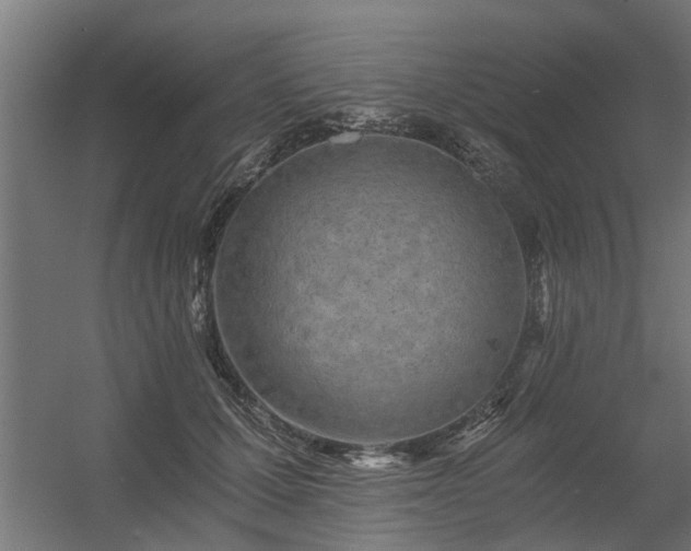 X0000056360607200509021750