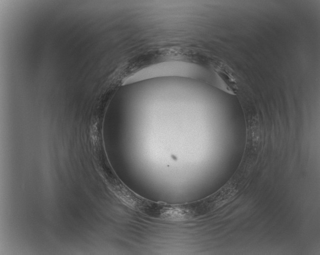 X0000056360611200509021750