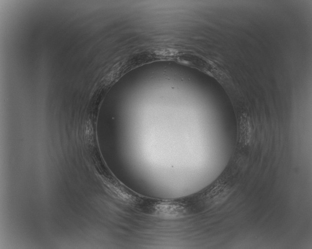 X0000056360614200509021750