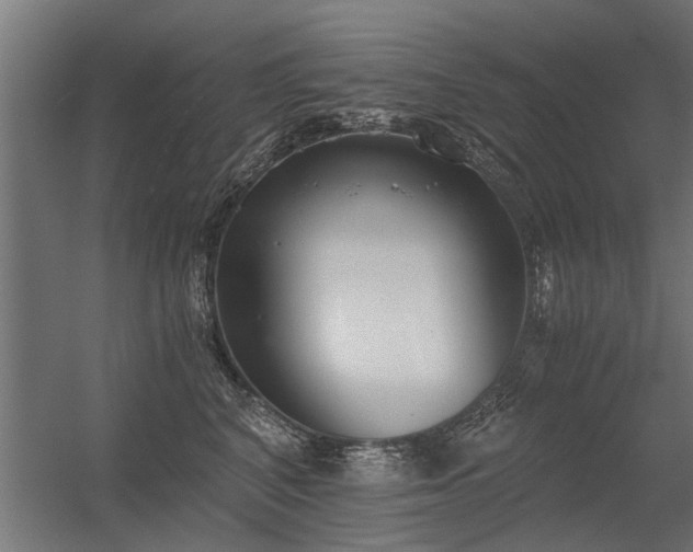 X0000056360616200509021750