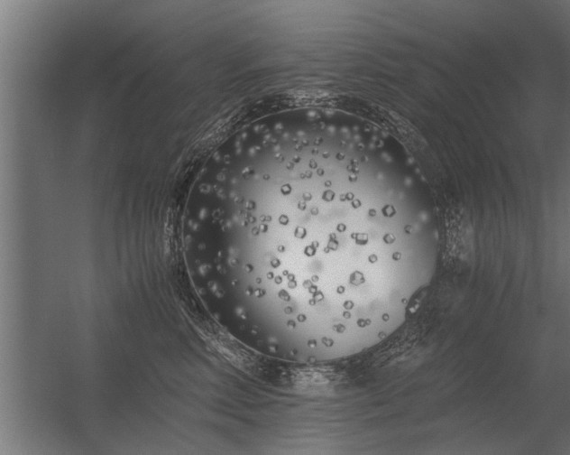 X0000056360618200509021750