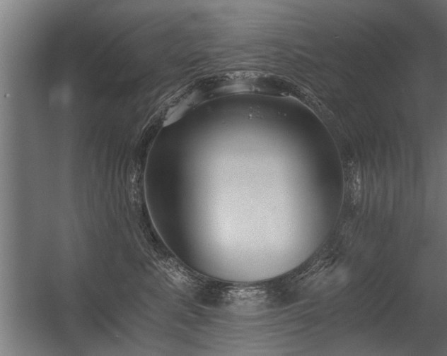 X0000056360619200509021750