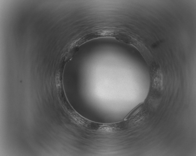 X0000056360620200509021750