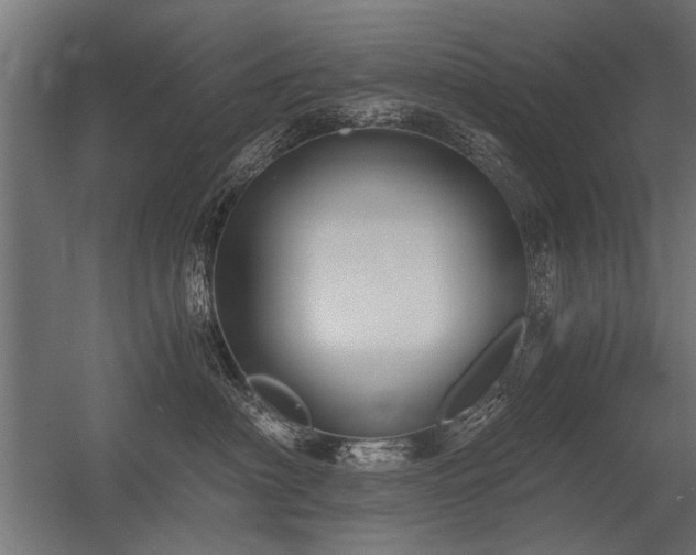 X0000056360622200509021749