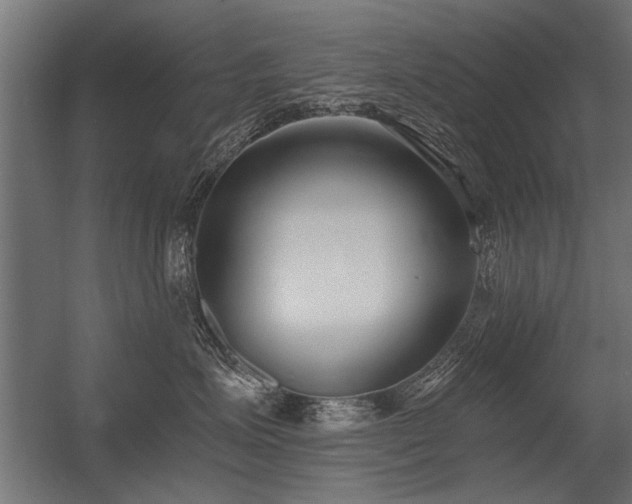 X0000056360623200509021749