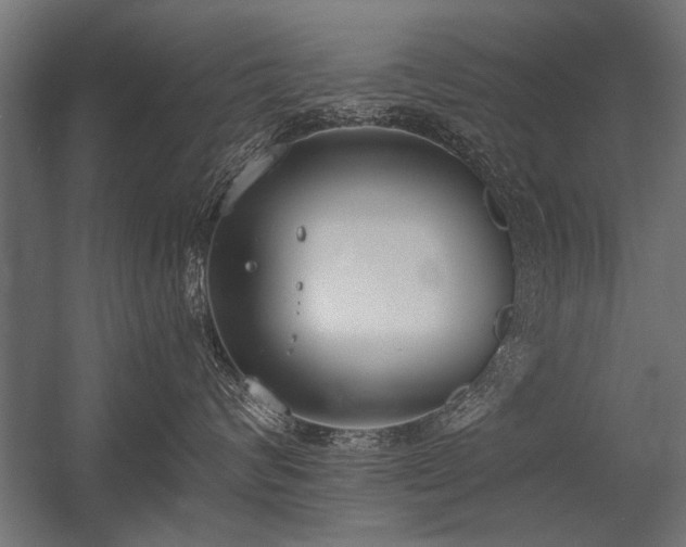 X0000056360624200509021749