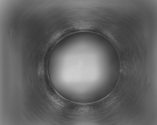 X0000056360631200509021749