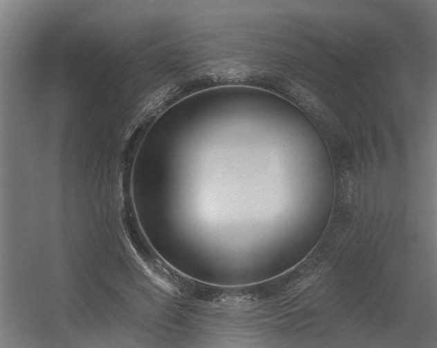 X0000056360638200509021749