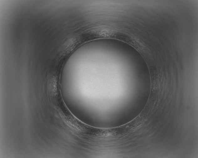 X0000056360646200509021749