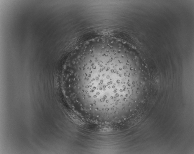 X0000056360658200509021749