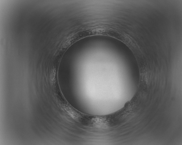 X0000056360660200509021749