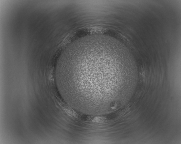 X0000056360663200509021749