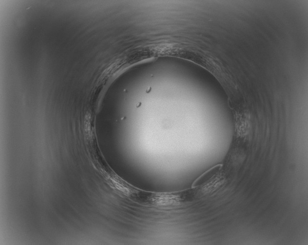 X0000056360670200509021749