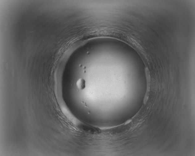 X0000056360673200509021749