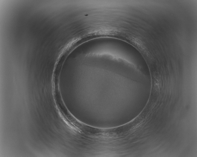 X0000056360678200509021749