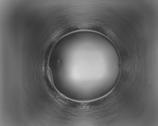 X0000056360687200509021748