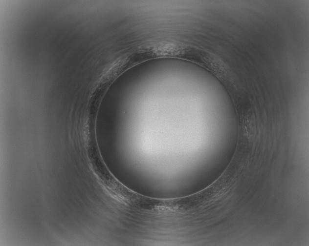 X0000056360690200509021748