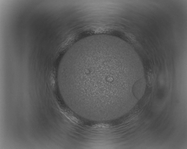 X0000056360691200509021748