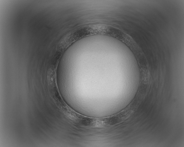 X0000056360701200509021748