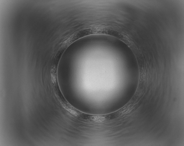 X0000056360719200509021748