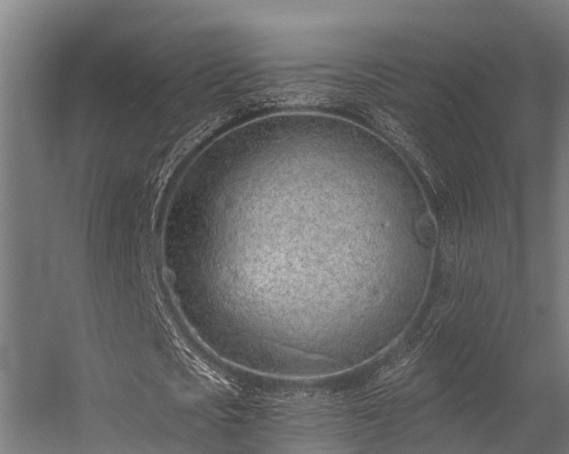 X0000056360721200509021747