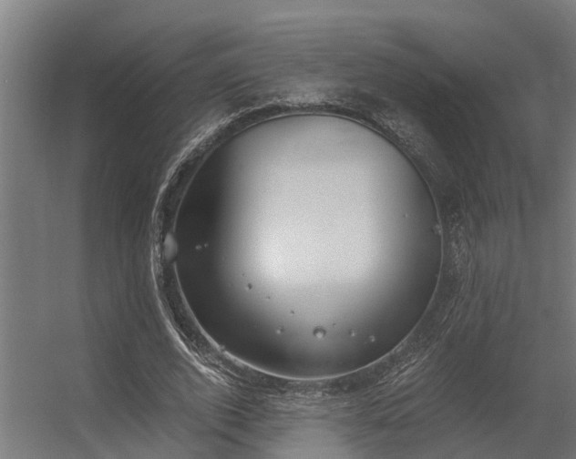 X0000056360728200509021747