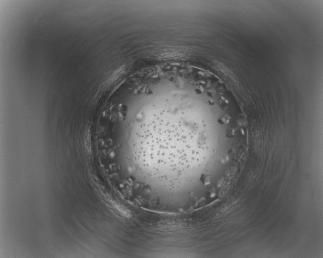 X0000056360729200509021747